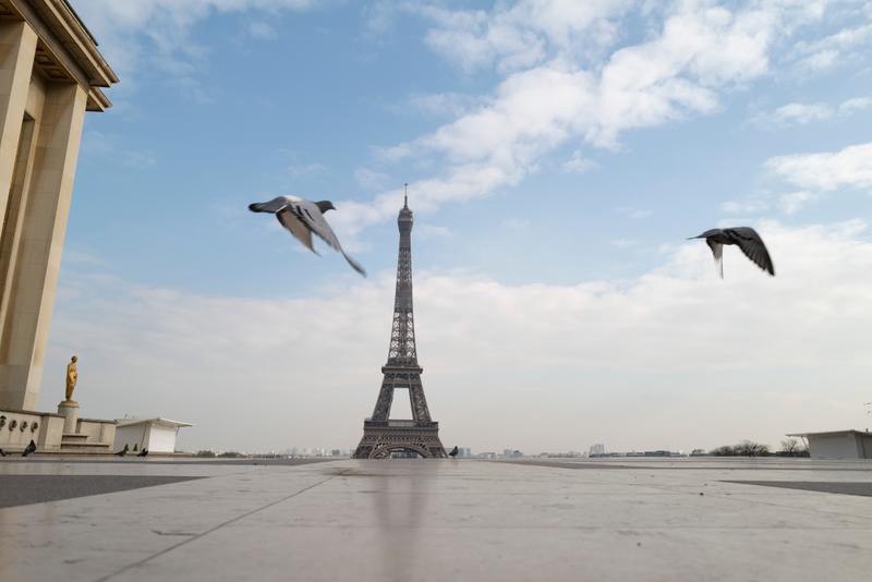 Paris sous un confinement, mais les pigeons sont toujours là.