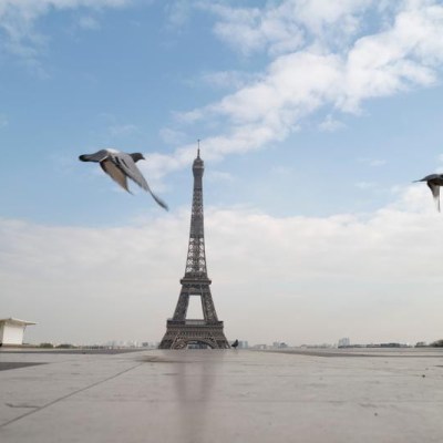 Fièvre et Climat, le cerveau dans tous ses&nbsp;états